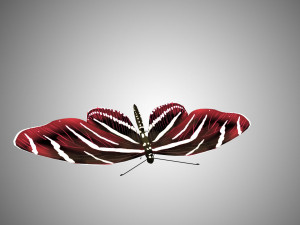 low poly rigged butterfly collection game ready collection Model 3D