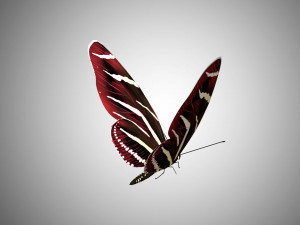 low poly rigged butterfly collection game ready collection Model 3D