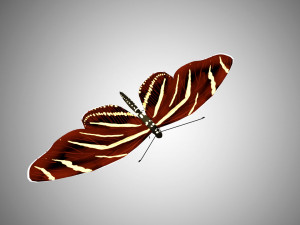 low poly rigged butterfly collection game ready collection Model 3D