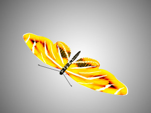 low poly rigged butterfly collection game ready collection Model 3D
