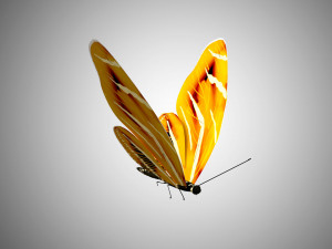 low poly rigged butterfly collection game ready collection Model 3D