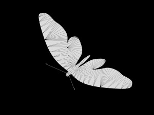 low poly rigged butterfly collection game ready collection Model 3D