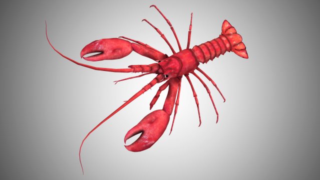 realistic rigged low poly lobster 3D Model .c4d .max .obj .3ds .fbx .stl .blend 