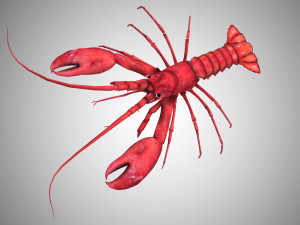 realistic rigged low poly lobster 3D 模型