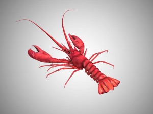 realistic rigged low poly lobster 3D Model