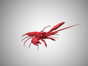 realistic rigged low poly lobster 3D Model