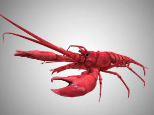 realistic rigged low poly lobster 3D Model