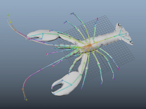 realistic rigged low poly lobster 3D Model