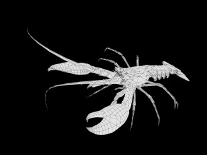 realistic rigged low poly lobster 3D Model