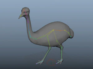 realistic rigged low poly ostrich 3D Model