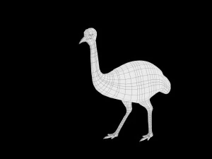 realistic rigged low poly ostrich 3D Model