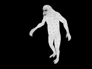 realistic rigged high detailed low poly chimpanzee 3d Model 3D