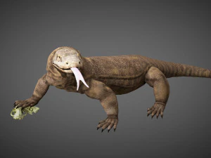 3d rigged low poly komodo dragon model 3D Model