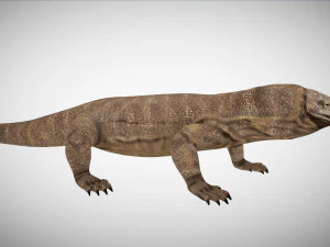 3d rigged low poly komodo dragon model 3D Model