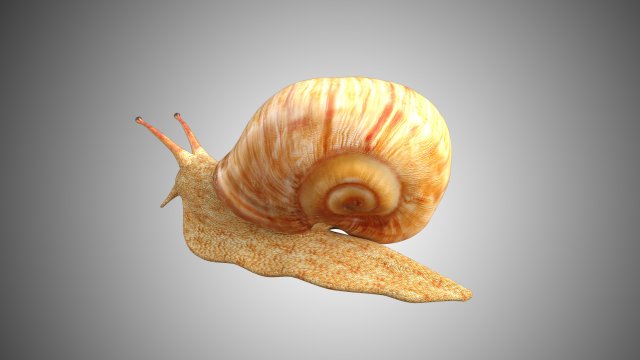 snail - alexa support 3D Print Model in Decor 3DExport