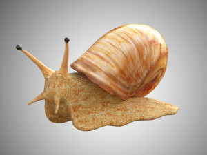 realistic high detailed really low poly snail 3D Model