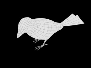 realistic high detailed rigged low poly sparrow 3D Модель