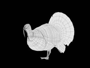 turkey realistic high detailed rigged low poly Modelo 3D