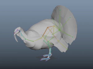 turkey realistic high detailed rigged low poly Modelo 3D