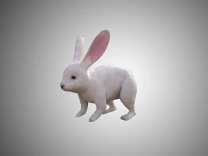 coniglio bianco low poly realistico high dettagliato truccato low poly Modello 3D