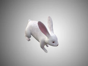 white rabbit low poly realistic high detailed rigged low poly 3D Model