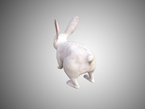 white rabbit low poly realistic high detailed rigged low poly 3D 모델