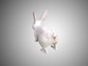 white rabbit low poly realistic high detailed rigged low poly 3D Model