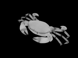 crab low poly realistic high detailed rigged low poly 3D Модель