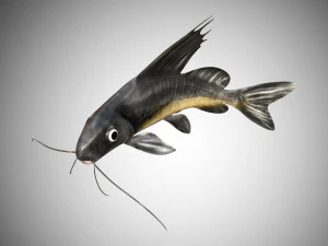 peixe-gato manipulado low poly Modelo 3D