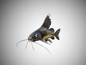 catfish rigged low poly 3D-Modell