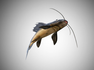 catfish rigged low poly 3D-Modell
