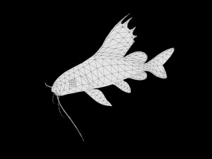 catfish rigged low poly 3D-Modell