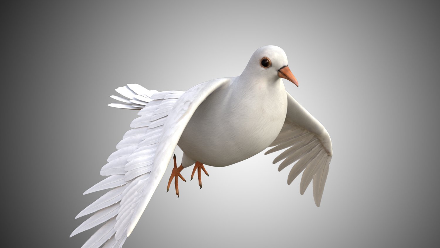 Птица 3д модель. 3d модель белого голубя. Dove (3 штуки). Dove 3d model. Dove Bird 3d.