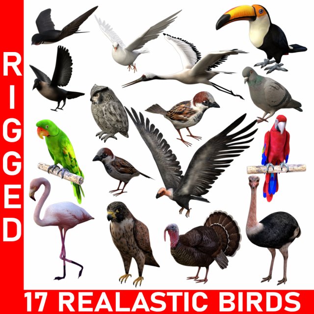 17 realistic rigged high detailed low poly bird collection Modelo 3D .c4d .max .obj .3ds .fbx .stl .blend 