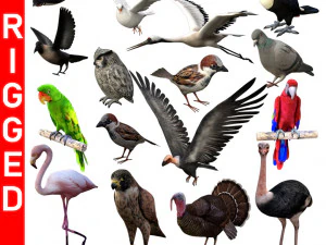 17 colecciones realistas de p&aacute;jaros de baja poli, muy detalladas y montadas Modelo 3D