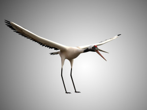 17 realistic rigged high detailed low poly bird collection Modelo 3D
