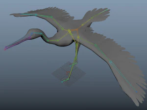 17 realistic rigged high detailed low poly bird collection 3D Model