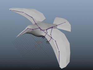 17 realistic rigged high detailed low poly bird collection Modelo 3D