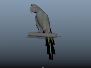 17 realistic rigged high detailed low poly bird collection Modelo 3D