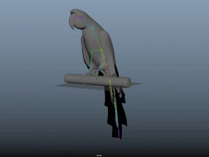 17 realistic rigged high detailed low poly bird collection 3D Model