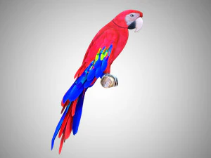 17 realistic rigged high detailed low poly bird collection 3D Model