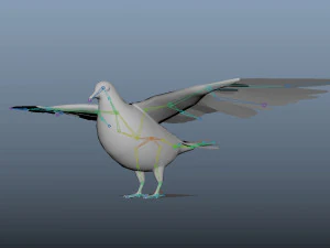 17 realistic rigged high detailed low poly bird collection 3D Model