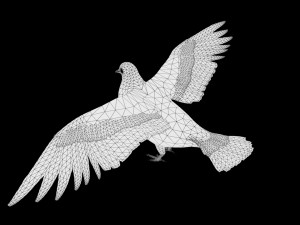 17 realistic rigged high detailed low poly bird collection Modelo 3D