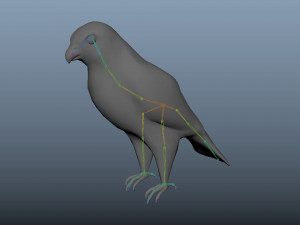 17 realistic rigged high detailed low poly bird collection Modelo 3D
