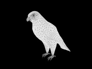 17 realistic rigged high detailed low poly bird collection 3D Model