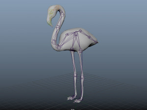 17 realistic rigged high detailed low poly bird collection Modelo 3D