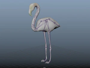 17 realistic rigged high detailed low poly bird collection 3D Model