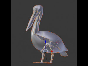 17 realistic rigged high detailed low poly bird collection Modelo 3D