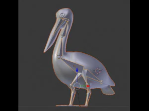 17 realistic rigged high detailed low poly bird collection 3D Model