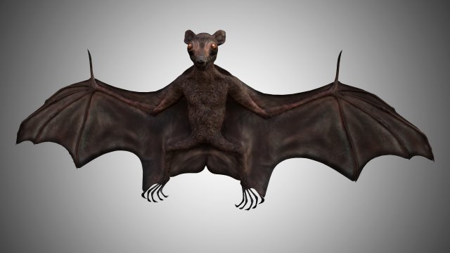 realistic high detailed rigged low poly bat 3D Model .c4d .max .obj .3ds .fbx .stl .blend 
